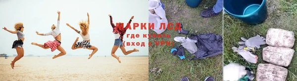 стаф Надым