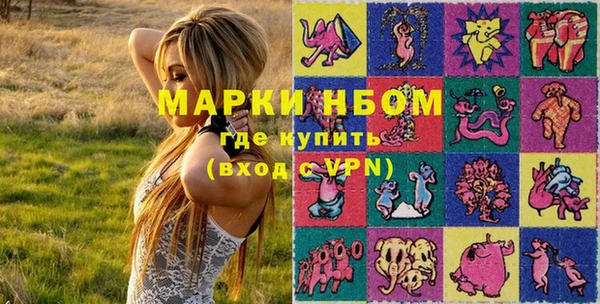 стаф Надым