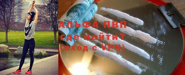 стаф Надым