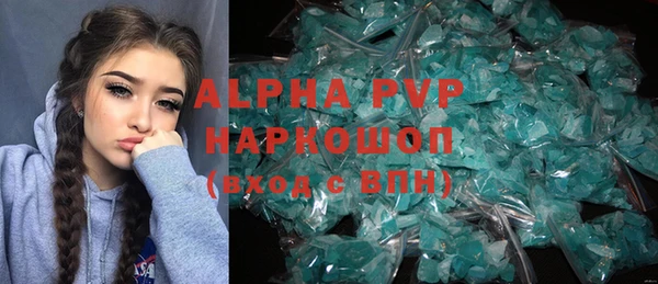 стаф Надым