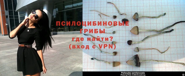 стаф Надым